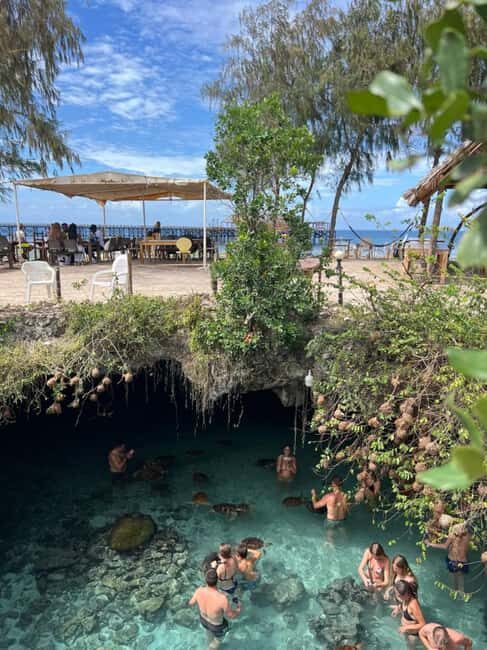 SPICE FARM TOUR, Jozani forest & Sea tortoise sanctuary - Who Will Enjoy This Tour?