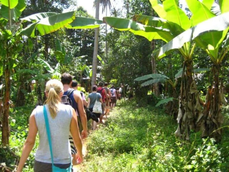 SPICE TOUR - Why This Tour Offers Great Value