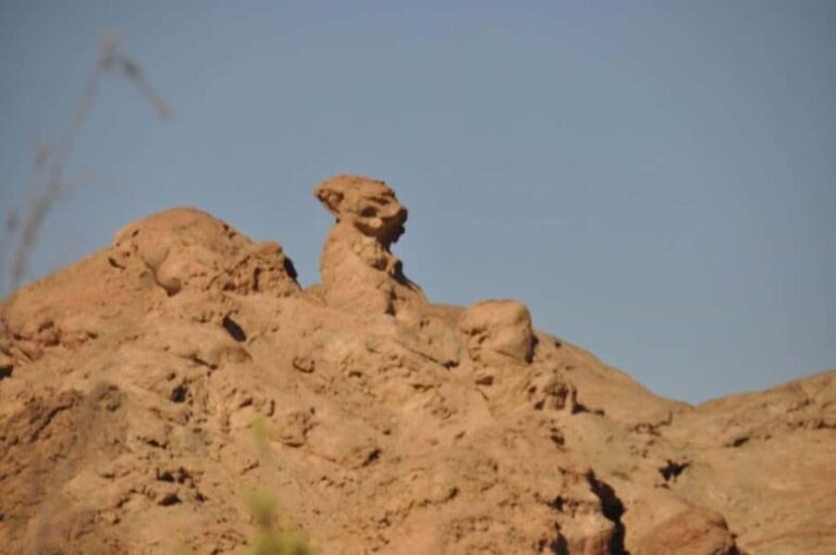 Spitzkoppe & Desert Magic: Arches, Art & Sunset Views - Bushman Rock Art and Ancient Cave Paintings