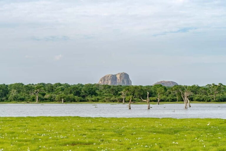 Sri Lanka 12-Day Private Round Tour; Car, Guide, Hotel, Food - A Day-by-Day Breakdown of the Tour