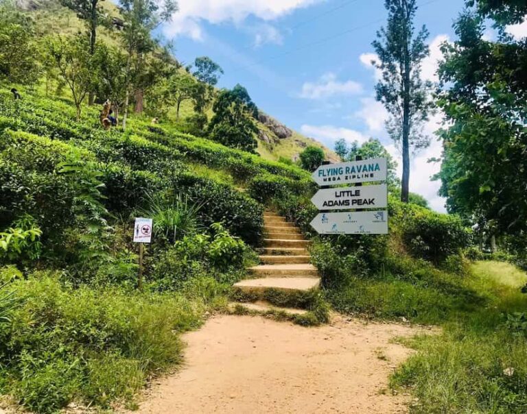Sri Lanka 3-day Private Tour: Kandy, Nuwara Eliya, Ella - An Authentic Taste of Sri Lanka’s Mountain Heartland