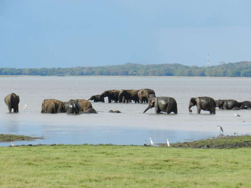 Sri Lanka: 4-day tour Ancient Ruins, Wildlife, Hill Country - Practicalities and Value