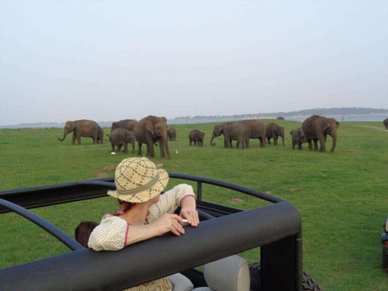 Sri Lanka: 5-Day Cities and Nature Round Tour from Colombo - From Sigiriya to Cultural Kandy