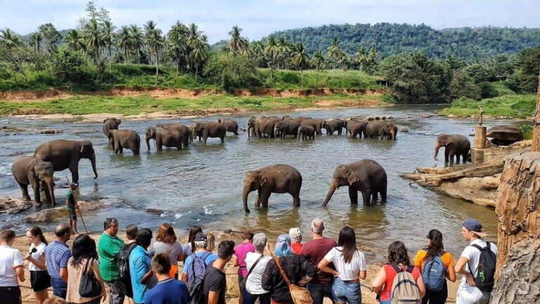 Sri Lanka: Kandy and Colombo Guided Cultural Tour - Why You’ll Love This Tour