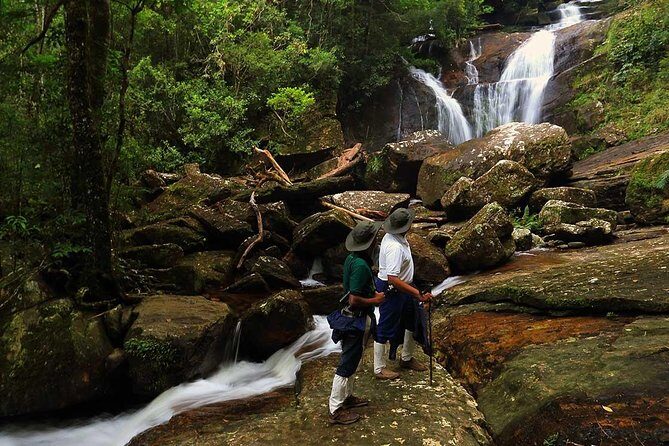 Sri Lanka Sinharaja Rain Forest Tour with Transport - Exploring the Itinerary in Detail