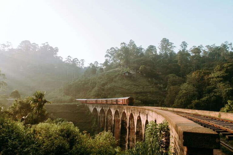Sri Lanka's highlights: 12-day tour with temples, tea plantations and nature - The Tea Country and Scenic Adventures
