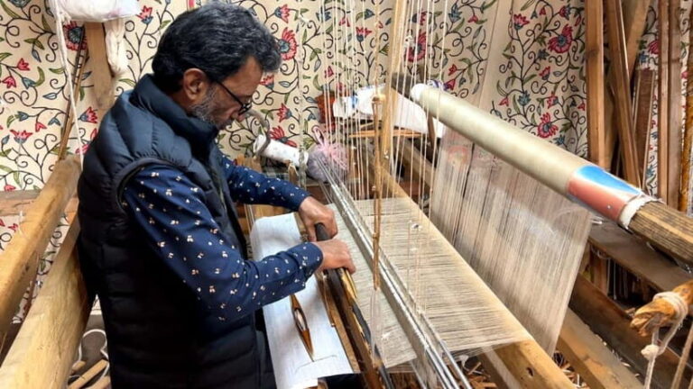 Srinagar: Cashmere Pashmina Craft Tour with Master Artisans - Who Will Love This Tour?