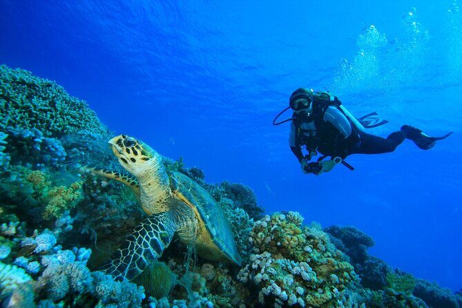 SSI | Padi Open Water Course in Phuket - The Experience: What Youre Really Getting
