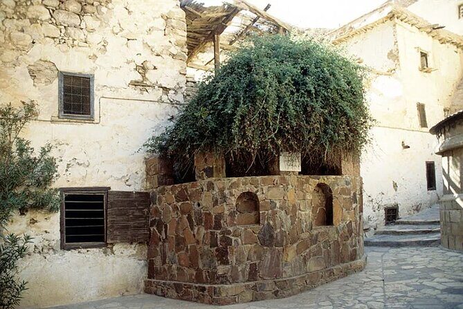 St.Catherines Monastery and Dahab City Tour From Sharm El Sheikh - What We Think the Tour Excels At