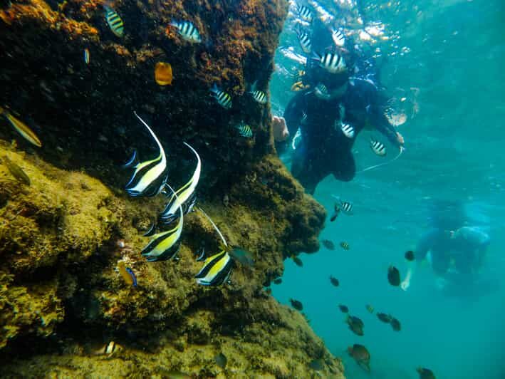 St. Lucia: Cape Vidal Snorkeling Adventure - The Itinerary: A Closer Look