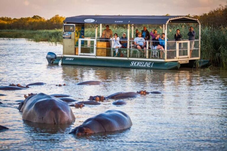 St Lucia: Hippo and Crocodile Cruise on a 15-Seat Vessel - Exploring the Experience