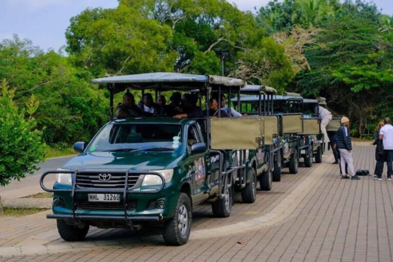 St Lucia: iSimangaliso Wetland Park: Full-Day/Half-Day Tour - Who Should Consider This Tour?