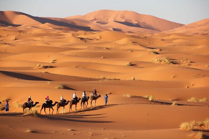 Standard trip in 1 night / 2 days from fez to merzouga - marrakech or back with same transportation fez - What’s Included and What’s Not