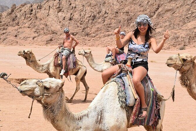 Star Gazing & Bedouin Dinner Trip in Sharm El Sheikh Desert - A Detailed Breakdown of the Itinerary