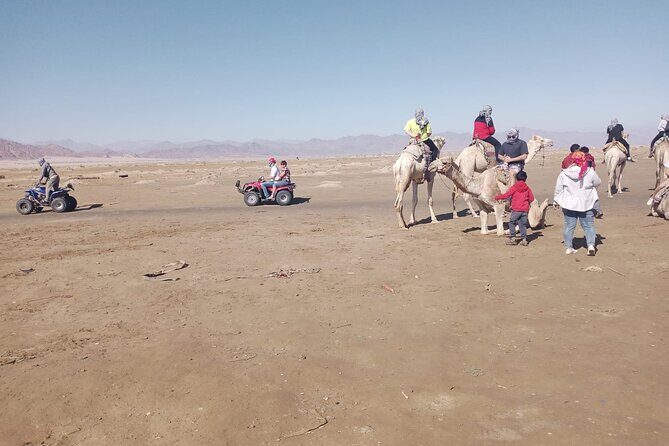 Star Gazing Tour Telescope with Bedouin Dinner, Camel and Show - Sharm El Sheikh - Real Guest Perspectives