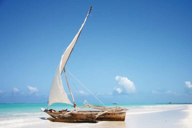 Starfish Adventure, Lunch at The Rock, Mnemba Dolphin Tour - Why This Tour Is Worth Considering
