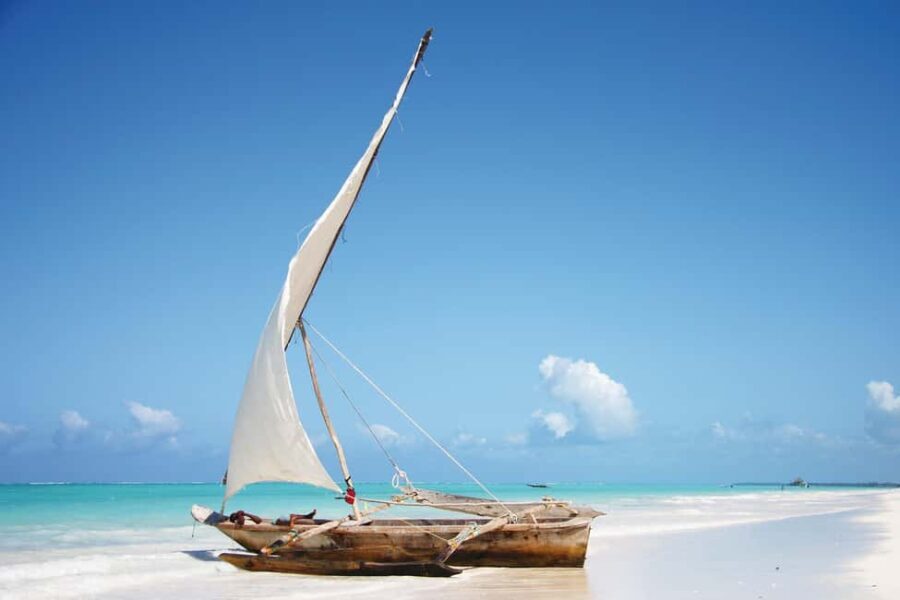 Starfish Adventure, Lunch at The Rock, Mnemba Dolphin Tour - Why This Tour Is Worth Considering