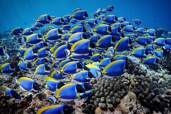 Starfish Adventure; The Rock Restaurant; Kuza Cave, Salaam Cave - Who Should Consider This Tour?