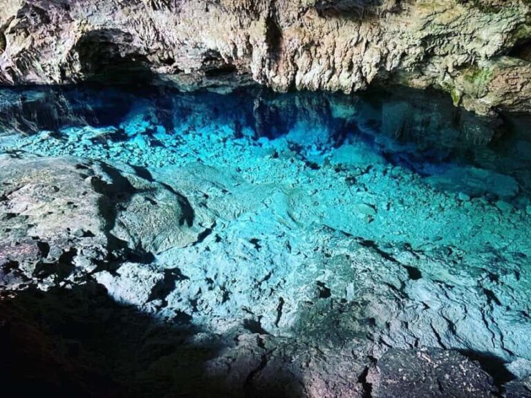 Starfish Tour, Blue Lagoon Snorkeling, The Rock, Paje Beach - Starting with Kuza Cave