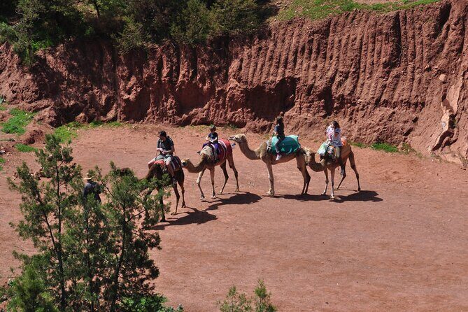Stargazing and camel ride in the agafay desert - Transportation, Logistics, and Group Size