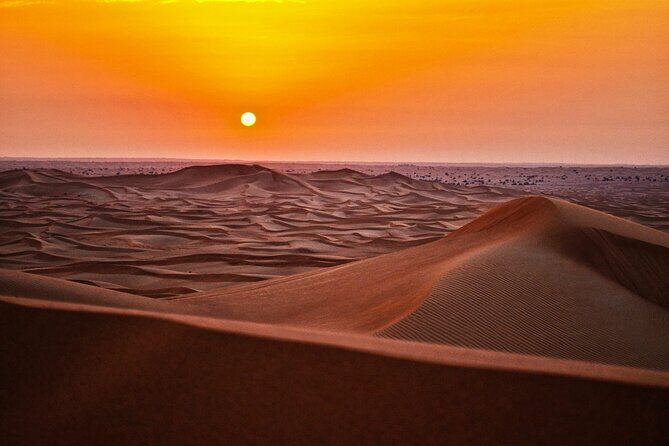 Stargazing in the Desert from Riyadh with Dinner - What Makes This Tour Stand Out