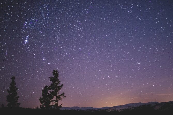 Stargazing Nights in the Kodachadri Forest - The Natural Setting: Why It Matters