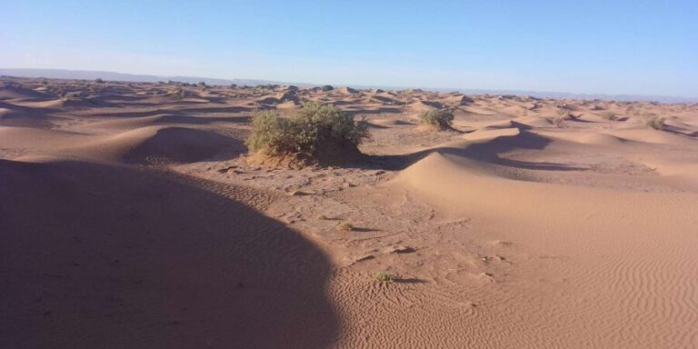 Starry nights at the Majesty of Sahara Desert in Erg chigaga - Day Two: Sunrise & Return Journey