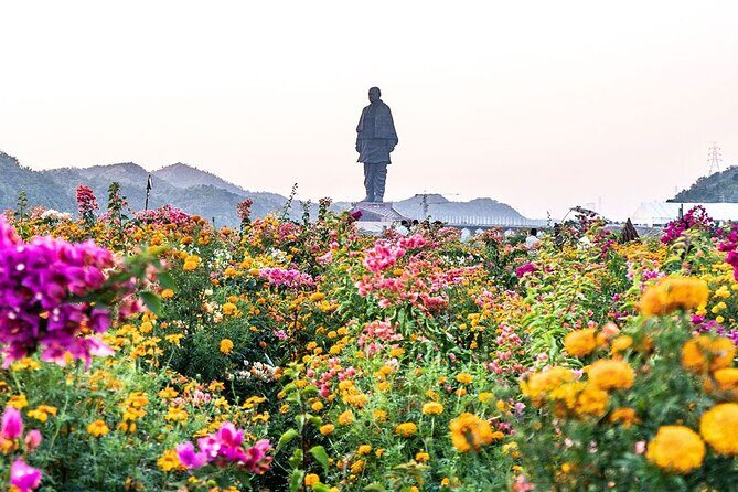 Statue of Unity tour from Ahmedabad in private car with lunch and guide - What’s Included and What to Consider