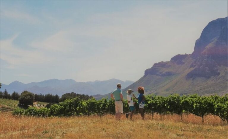 Stellenbosch: 4x4 Winelands Private Experience - Real Traveler Feedback