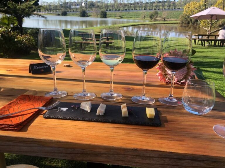 Stellenbosch: Daily Diffirent small group full day wine tour - What to Expect Day-by-Day