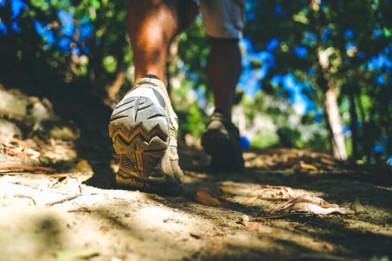 Stellenbosch: Dwarsrivier Silver Mine Hike - What You Can Expect from the Tour