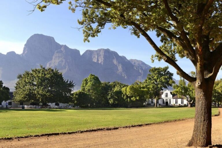 Stellenbosch: Eastern Route Hop-On Hop-Off Wine Tour - An Honest Look at the Eastern Route Hop-On Hop-Off Wine Tour