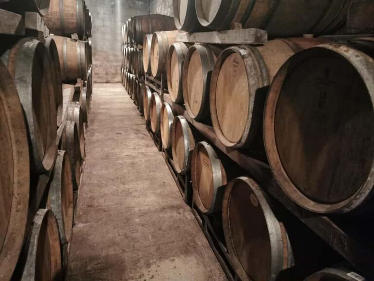 Stellenbosch Scenic Mountain Wine Tasting Tour - Authentic Experiences & Real Reviews