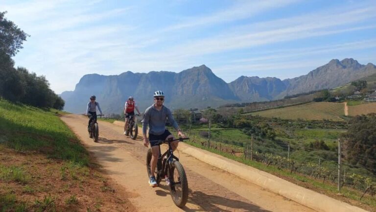 Stellenbosch: Stellenbosch E-Bike & Wine Tour (Shared Tour) - Itinerary Breakdown: What to Expect