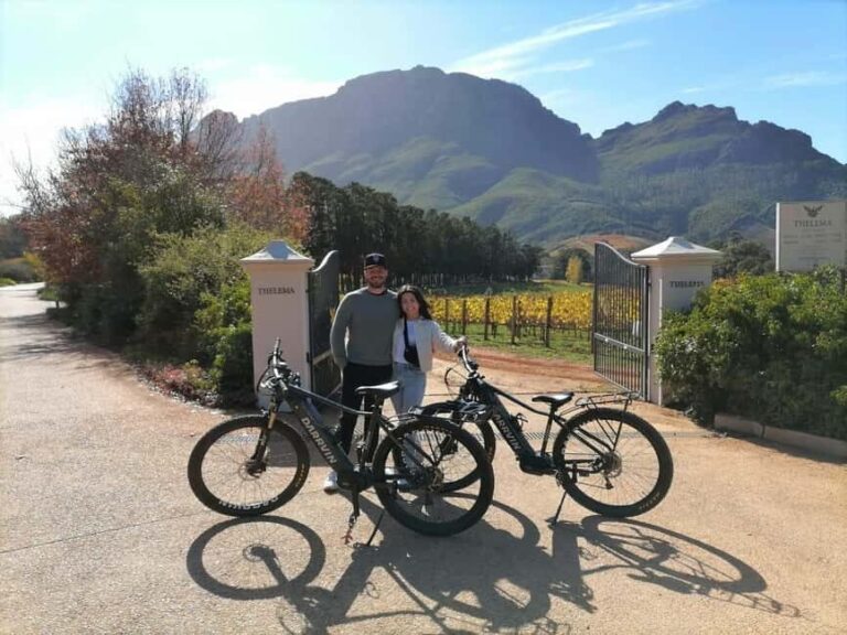 Stellenbosch: Stellenbosch Private E-Bike & Wine Tour - The Experience from the Traveler Perspective