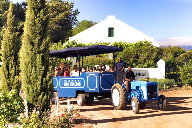 Stellenbosch Wine Tractor hop-on-hop off wine tasting tour - Who Is This Tour Best For?