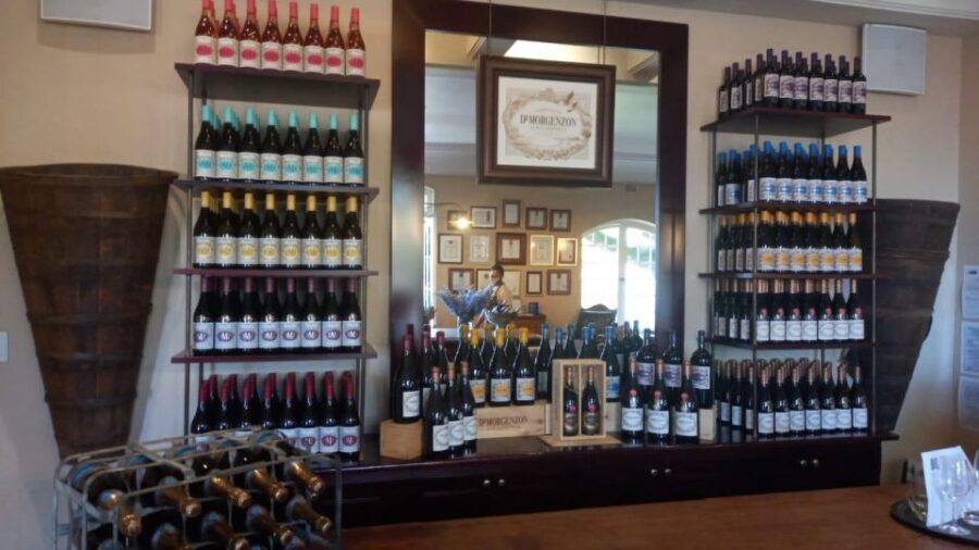 Stellenbosh,Franshoek ,Paarl Region (20 wine tastings) - Who Should Consider This Tour?