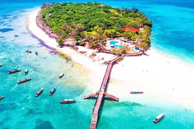Stone City, Spice Farm and Prison Island Full Day Tour - What Makes This Tour Stand Out