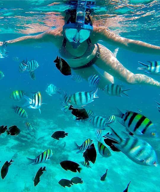 Stone Town, Blue Lagoon, Starfish & Spice Farm with Lunch - Analyzing the Value
