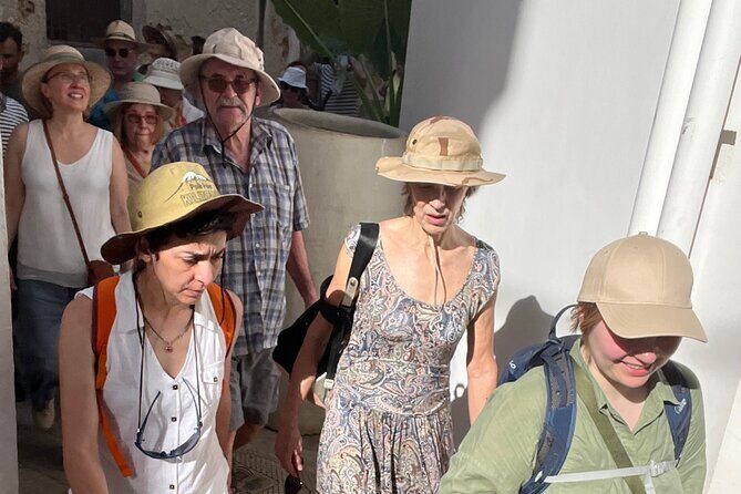 Stone town historical walking tour - Practical Details: What You Need to Know