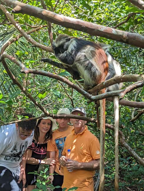 Stone Town: Jozani Chwaka Bay National Park Half-Day Tour - FAQ