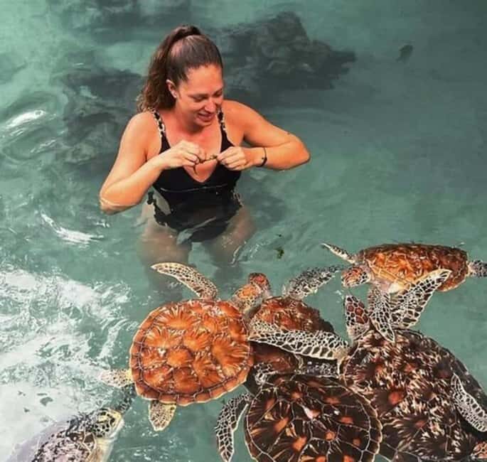 Stone Town, Jozani Forest, Sea Turtles & The Rock Restaurant - Practical Details and Insights