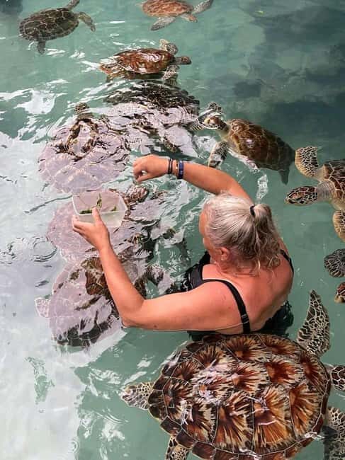 Stone Town, Jozani Forest, Sea Turtles & The Rock Restaurant - An In-Depth Look at the Tour Experience