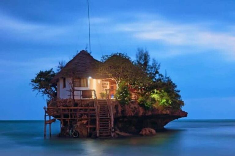 Stone Town, The Rock Restaurant, Jozani Forest & Salam Cave - What Makes This Tour Stand Out?