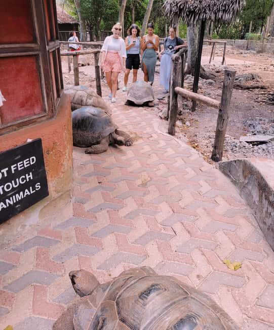 Stonetown: Prisoners iland &/or spice tour lush plantations - What Makes This Tour Stand Out