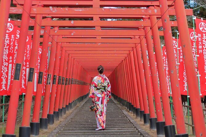 Strawberry Picking and Exploring Beautiful City of Tamba Sasayama - Who Will Love This Tour?