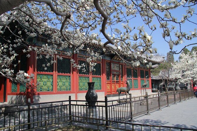Summer Palace+Ming Tombs/Heaven Temple/China National Museum Tour - Overall Value and Practical Tips