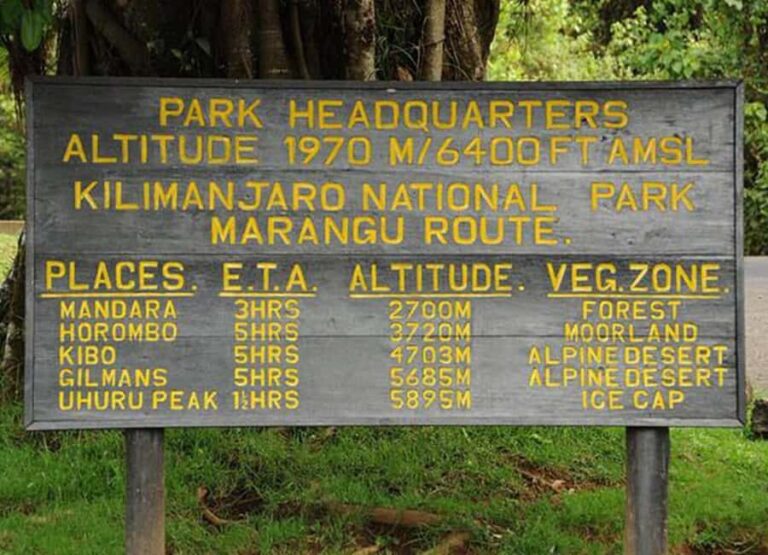 Summit Adventure: Mount Kilimanjaro Daytrip - Authentic Experiences and Cultural Interactions