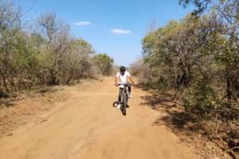 Sun City: Letsatsing Game Park Mountain Bike Trail - Why Choose This Experience?