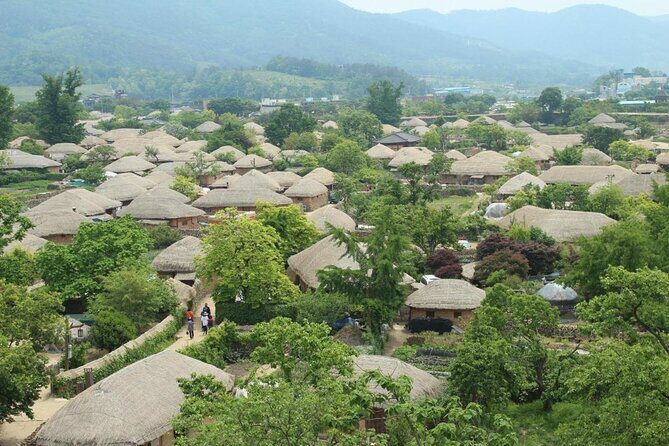 Suncheon one day tour from Seoul, Busan or Suncheon - A Closer Look at the Itinerary